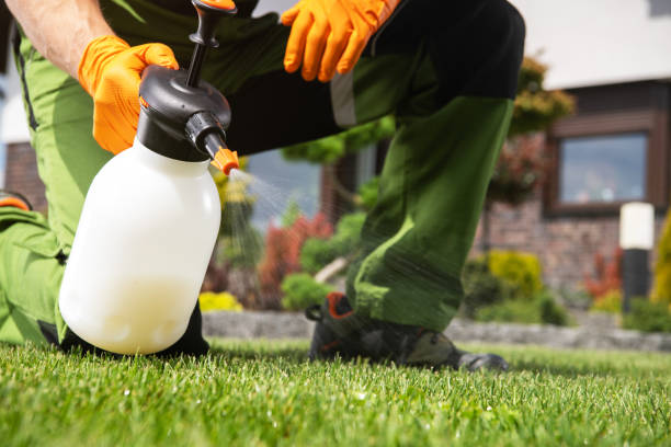 Pest Control Cost in Shongopovi, AZ