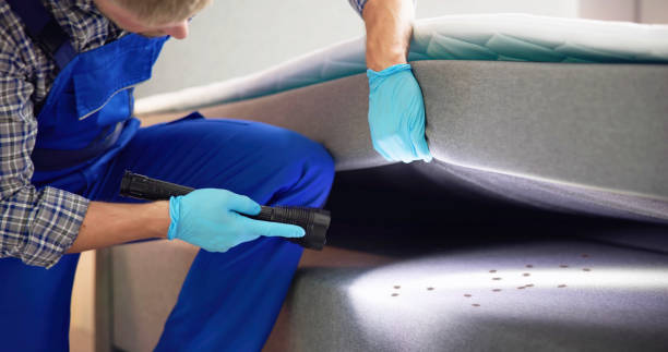 Best Pest Inspection Near Me  in Shongopovi, AZ