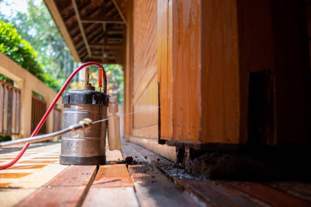 Best Rat Extermination Near Me  in Shongopovi, AZ