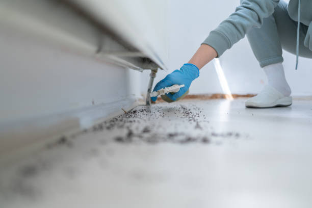 Best Cockroach Control Services  in Shongopovi, AZ